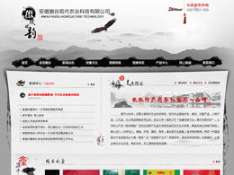 藝創(chuàng)網(wǎng)絡(luò) 打造專業(yè)產(chǎn)品展示類網(wǎng)站，助力企業(yè)營銷升級